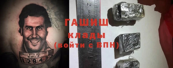 индика Беломорск