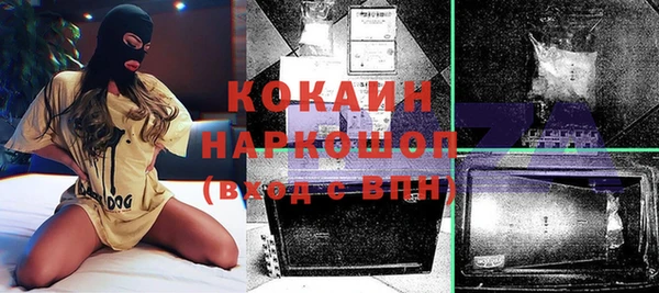индика Беломорск