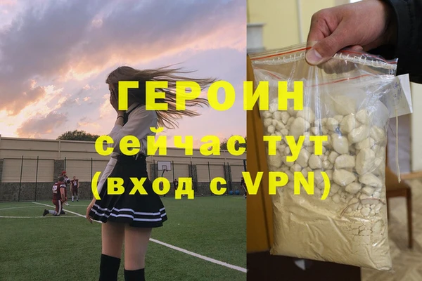индика Беломорск
