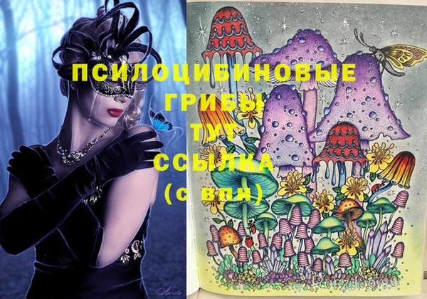 скорость Баксан