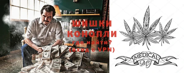 крисы Белокуриха