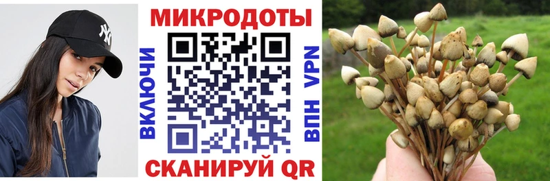 Псилоцибиновые грибы ЛСД  Вятские Поляны 